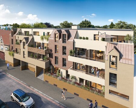  image programme La Salicorne 