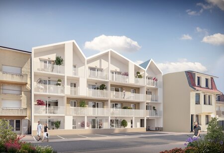  image programme Stella Marina 