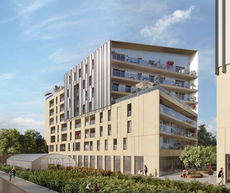 image programme Ancora