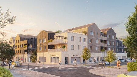 image programme Le Saule Blanc