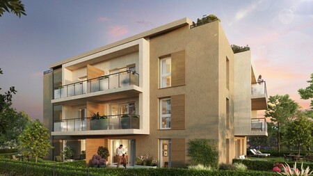  image programme Les Pins Parasols 