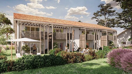 image programme Stellaria